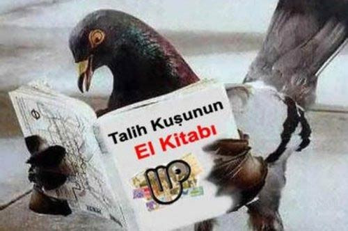 En komik Twitter geyikleri! - Resim: 4