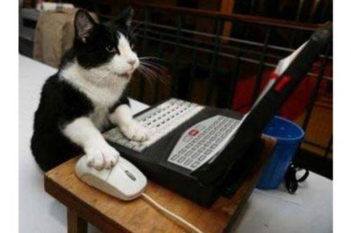 İnternet bağımlıların ilginç halleri - Resim: 3