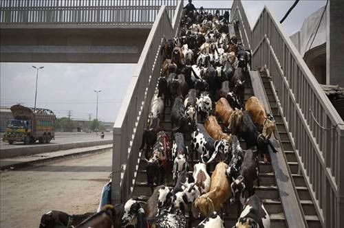 İnternette en çok tıklanan fotoğraflar! - Resim: 1