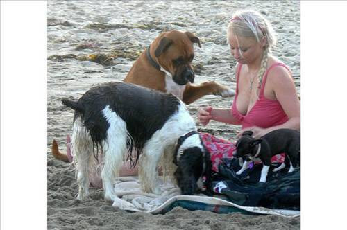 Şaşırtan fotoğraflar - Resim: 3