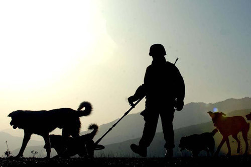 PKK o topraklardan tamamen silindi! - Resim: 4