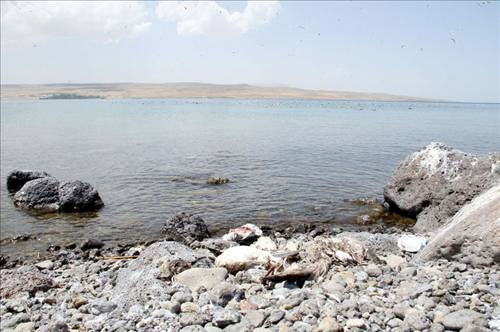 Turizm cennetinin haline bakın! - Resim: 1