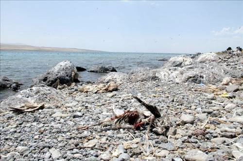 Turizm cennetinin haline bakın! - Resim: 3