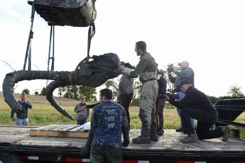 Fasulye tarlasında mamut fosili - Resim: 1