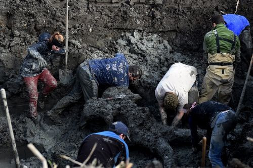 Fasulye tarlasında mamut fosili - Resim: 2