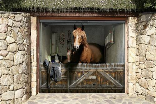 Bu garajlar bir garip - Resim: 3