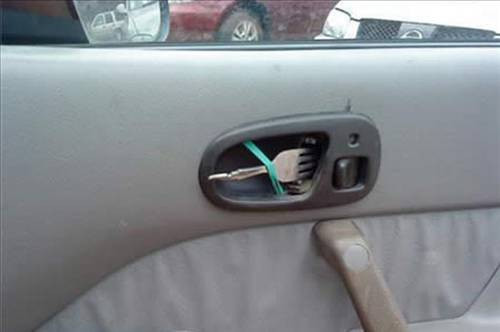 Pes dedirten kareler - Resim: 4