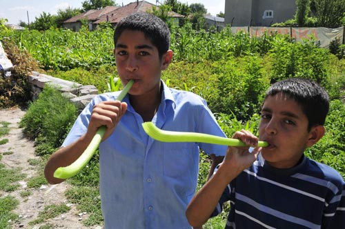 Vuvuzela yerine Kabakzella - Resim: 4