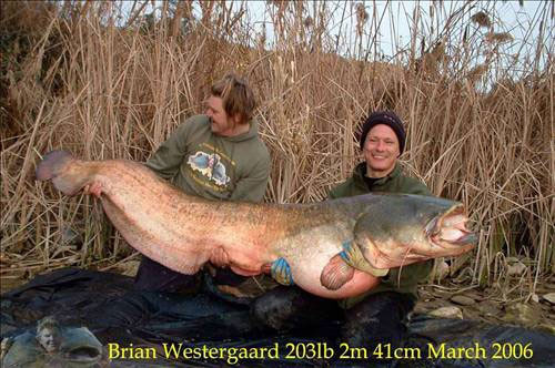 Görenler şaşkına döndü - Resim: 3