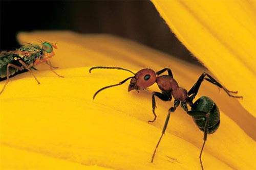 120 yılın fotoları - Resim: 4