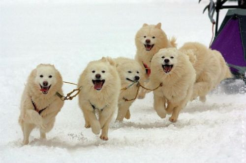 Bu fotoğraflara bakmak göz değil yürek ister - Resim: 4