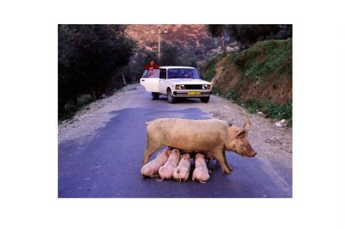 Bu pozisyonlara siz ne anlam verirsiniz? - Resim: 3