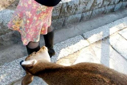 Bu pozisyonlara siz ne anlam verirsiniz? - Resim: 4