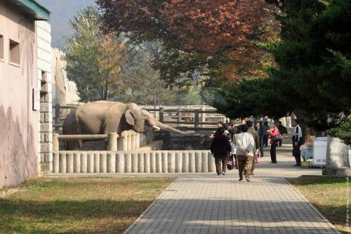 Gözle taciz bu olsa gerek - Resim: 3