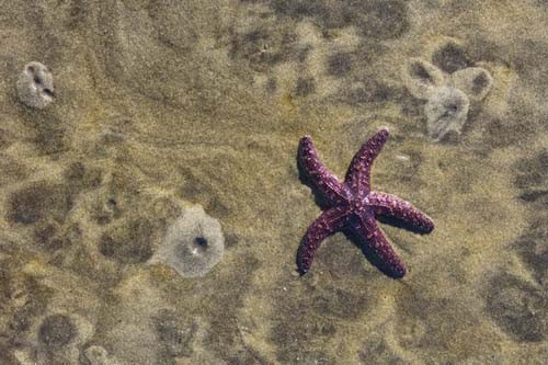 Bu bigilere donup kalacaksınız! - Resim: 4