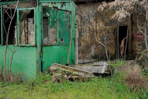 İstanbul sokaklarında çırılçıplak koştu - Resim: 1