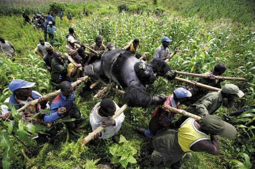 Günün en çok tıklanan kareleri! - Resim: 4
