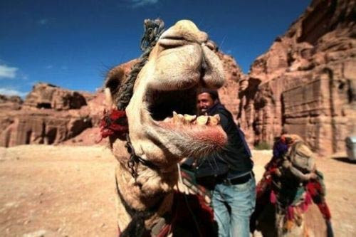 Hayattan en ilginç fotoğraf kareleri - Resim: 2