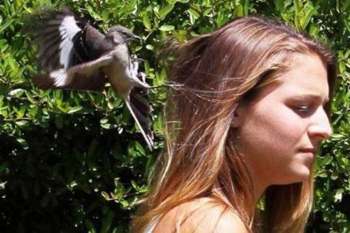 Farklı olmak isteyenlerin ilginç pozları - Resim: 2