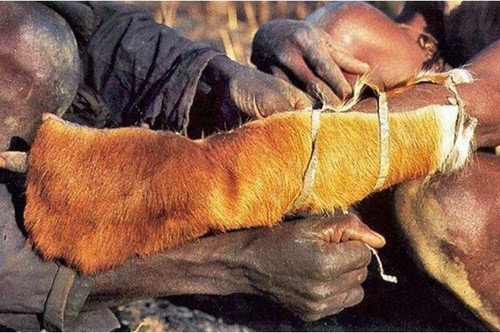 Dev pitonun yuvasına daldı ve... - Resim: 1