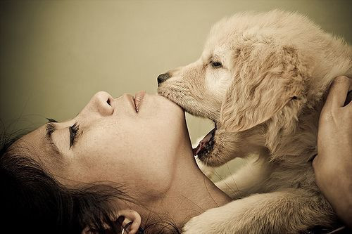 internetin fenomen olan kareleri - Resim: 2