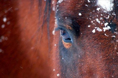Birbirinden ilginç fotoğraf kareleri! - Resim: 3