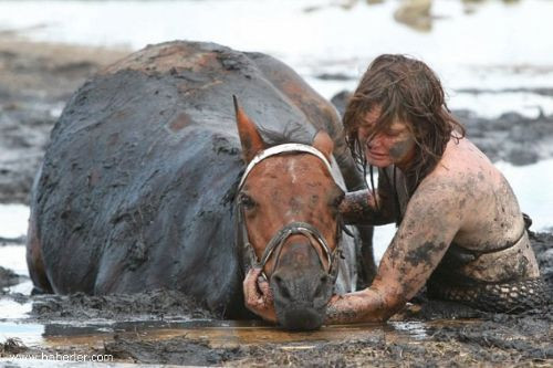 Herşey onu kurtarmak için - Resim: 1