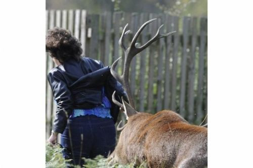 Sonu kötü oldu! - Resim: 2