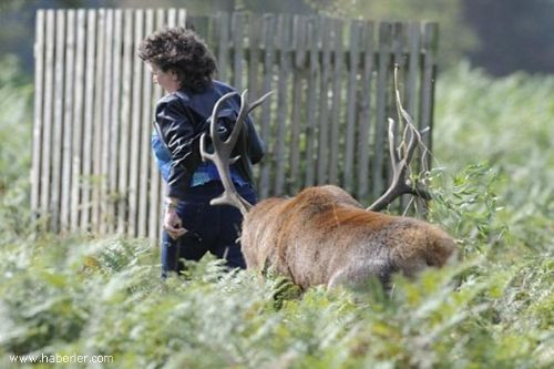 Sonu kötü oldu! - Resim: 4