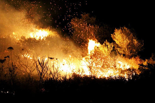 Tatil cenneti alevlere teslim! - Resim: 4