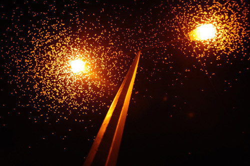 Çiftleşmek için ölüyorlar! - Resim: 1