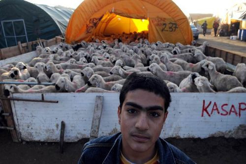 Kurban manzaraları - Resim: 4