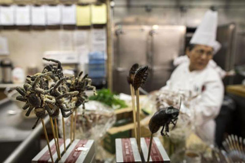 Geceye vahşi hayvanlardan oluşan yemekler damga vurdu - Resim: 3