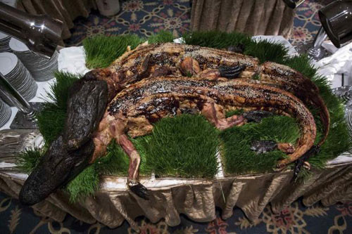 Geceye vahşi hayvanlardan oluşan yemekler damga vurdu - Resim: 4