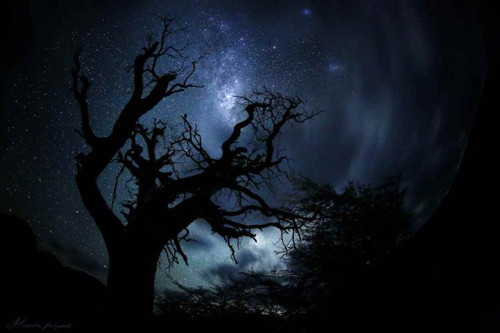 10 dakikada huzur bulun - Resim: 2