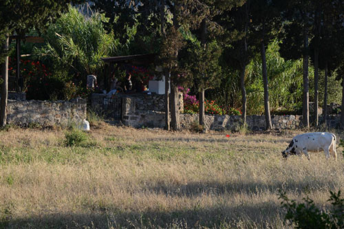 Nurgül Yeşilçay'ın yeni çiftliği - Resim: 4