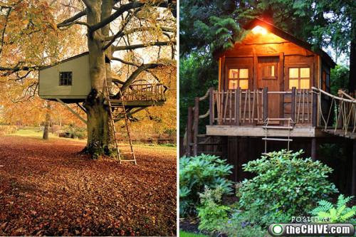 Bu ağaç evlere inanamayacaksınız! - Resim: 3