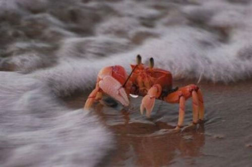 İnternetin en ilginç kareleri - Resim: 1
