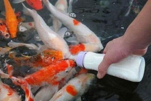 Günün en ilginç kareleri - Resim: 4