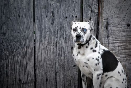 Yok artık bu kadar da olamaz - Resim: 3