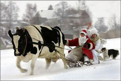 Şansın dibe vurduğu o anlar - Resim: 2