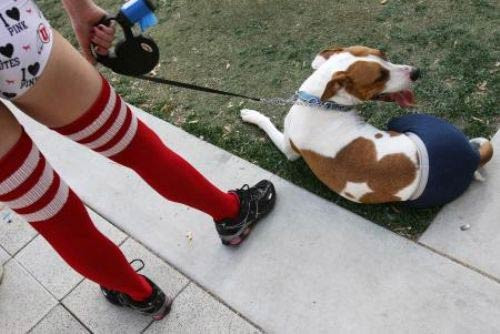 İç çamaşırlarıyla protesto ettiler - Resim: 4
