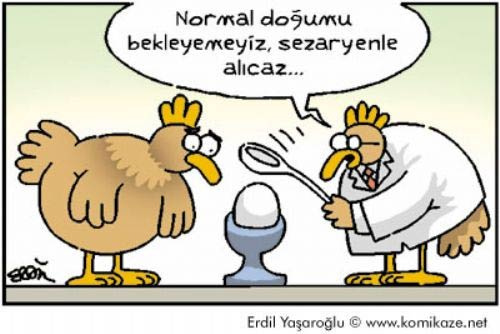 En çok güldüren karikatürler - Resim: 13