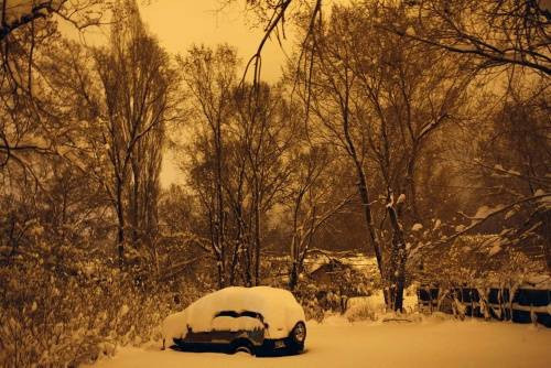 Dünyadan günün fotoğrafları - Resim: 4