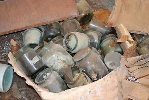 Laboratuvardaki mumyalar şoke etti - Resim: 4