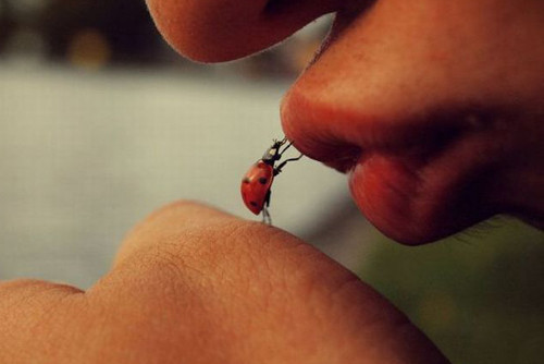 İşte günün 100 eğlenceli karesi - Resim: 2