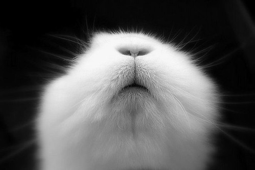 İşte günün 100 eğlenceli karesi - Resim: 4