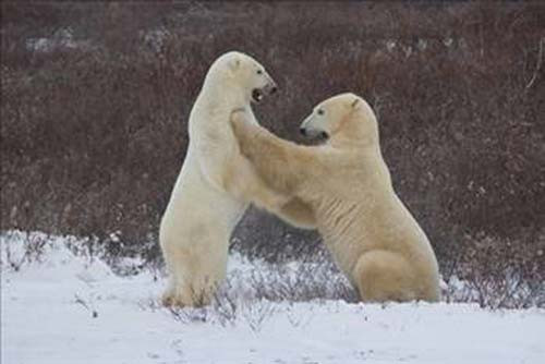 İlginç bilgiler - Resim: 3