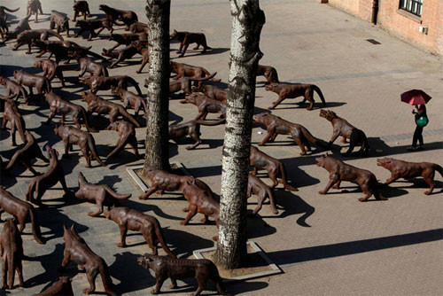 Çin'de "bir gün"  - Resim: 2