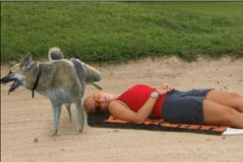 Bu fotoğraflara çok güleceksiniz - Resim: 4